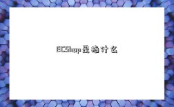 ECShop是指什么
