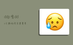 ddp和ddu全称,ddp是什么意思