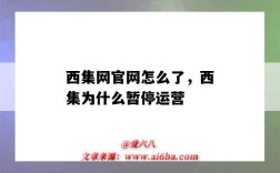 西集网官网怎么了，西集为什么暂停运营（西集网 暂停）