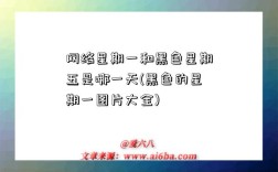 网络星期一和黑色星期五是哪一天(黑色的星期一图片大全)