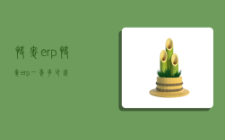 快麦erp,快麦erp一年多少钱