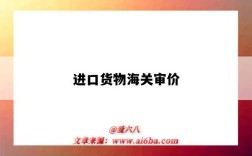 进口货物海关审价（海关进出口货物审价办法）