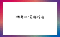 斑马ERP是指什么