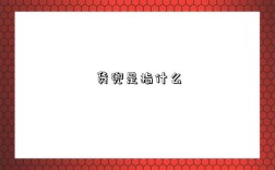 货兜是指什么