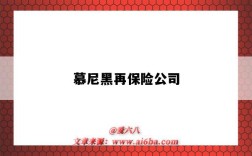 慕尼黑再保险公司（慕尼黑再保险公司世界排名）