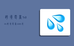跨境电商saas,跨境电商saas是什么意思啊