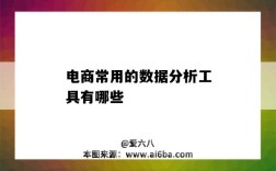 电商常用的数据分析工具有哪些（电商数据分析工具软件有哪些）