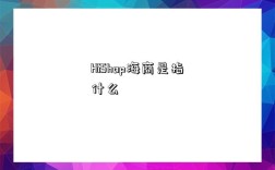 HiShop海商是指什么