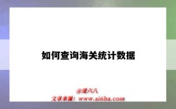 如何查询海关统计数据（海关统计数据怎么查询）