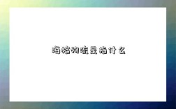 海格物流是指什么