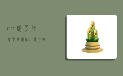 cfr属于什么贸易术语,cfr属于哪种贸易术语