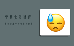 中转仓是什么意思,飞机中转仓是什么意思