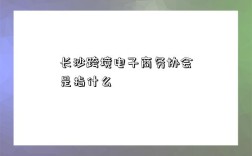 长沙跨境电子商务协会是指什么