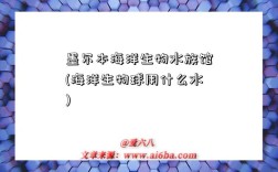墨尔本海洋生物水族馆(海洋生物球用什么水)