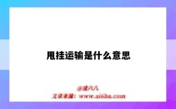 甩挂运输是什么意思（甩挂运输是什么意思生产与运作计划为4年的）