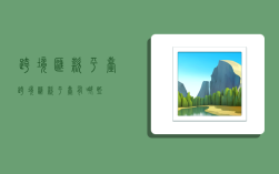 跨境汇款平台,跨境汇款平台有哪些
