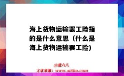 海上货物运输罢工险指的是什么意思（什么是海上货物运输罢工险)