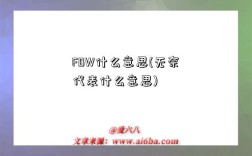 FBW什么意思(无奈代表什么意思)