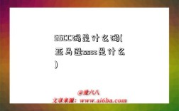 SSCC码是什么码(亚马逊sscc是什么)