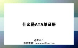 什么是ATA单证册（什么是ata单证册系统）