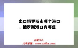 出口俄罗斯走哪个港口，俄罗斯港口有哪些（俄罗斯的港口有哪些）