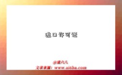 进口许可证