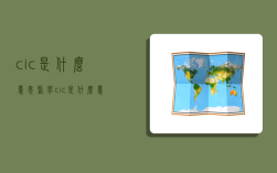 cic是什么意思,医学cic是什么意思