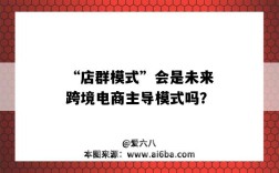 “店群模式”会是未来跨境电商主导模式吗？（电商的店群模式）