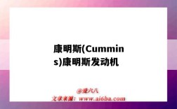 康明斯(Cummins)康明斯发动机（康明斯 发动机）