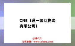 CNE（递一国际物流有限公司）（cne递一国际物流官网）