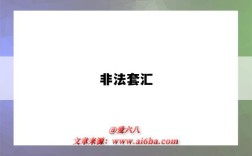 非法套汇