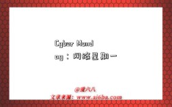 Cyber Monday：网络星期一