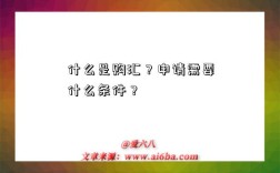 什么是购汇？申请需要什么条件？