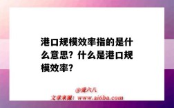 港口规模效率指的是什么意思？什么是港口规模效率？