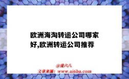 欧洲海淘转运公司哪家好,欧洲转运公司推荐（欧洲转运公司哪个好）