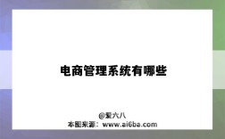 电商管理系统有哪些（电商管理系统）