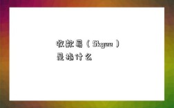 收款易（Skyee）是指什么