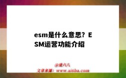 esm是什么意思？ESM运营功能介绍（ESM是什么意思）