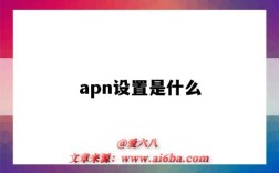 apn设置是什么（apn设置是什么意思）