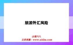 旅游外汇风险