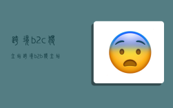 跨境b2c独立站,跨境b2b独立站