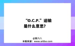 “O.C.P.”运输是什么意思？