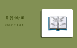 美国 ddp,美国ddp是什么意思