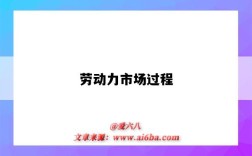 劳动力市场过程
