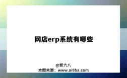 网店erp系统有哪些（网店erp系统哪个好）