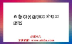 白色清关运输方式详细解读