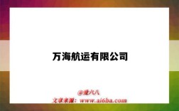 万海航运有限公司（万海航运有限公司货物跟踪）