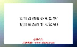班机运输是什么意思(班机运输是什么意思)