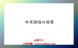 中长期出口信贷