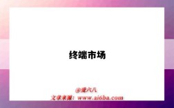 终端市场